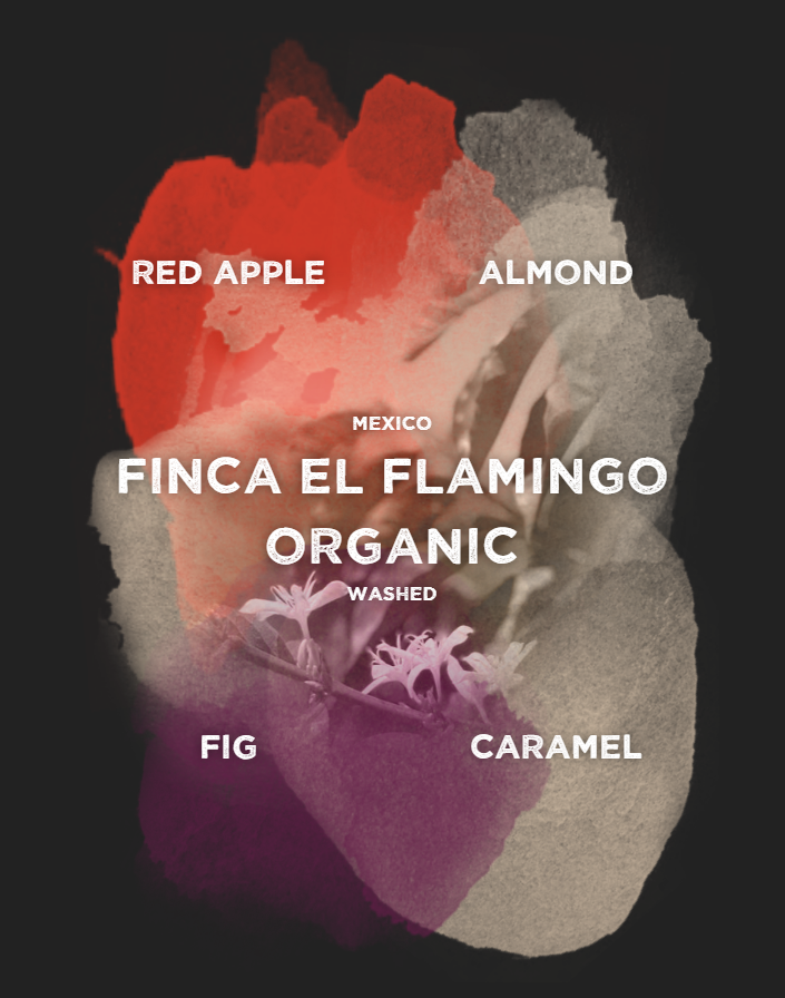 Mexico Finca Flamingo