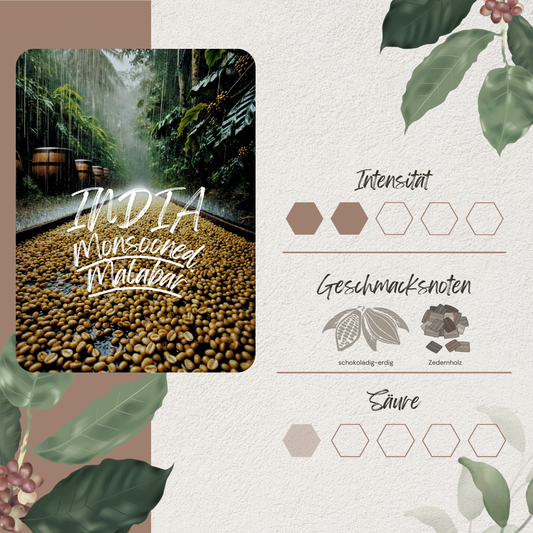 Indien Monsooned Malabar