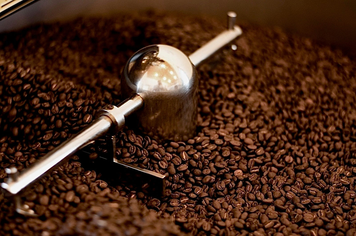 Kaffeeseminar "Coffee Basic"